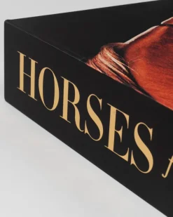 Ultimates|Assouline Horses From Saudi Arabia