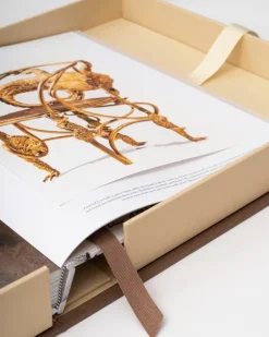 Ultimates|Assouline Lalanne: A World Of Poetry