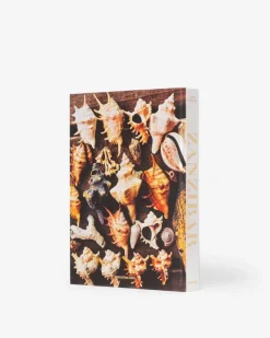 Classics|Assouline Zanzibar